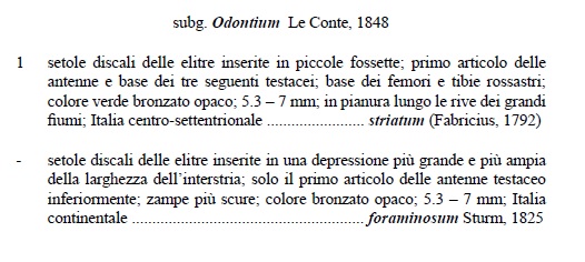 Odontium foraminosum